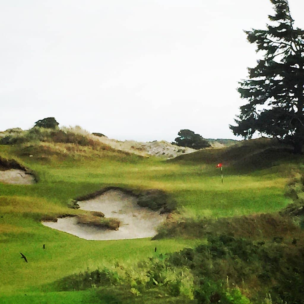 Undulating Greens