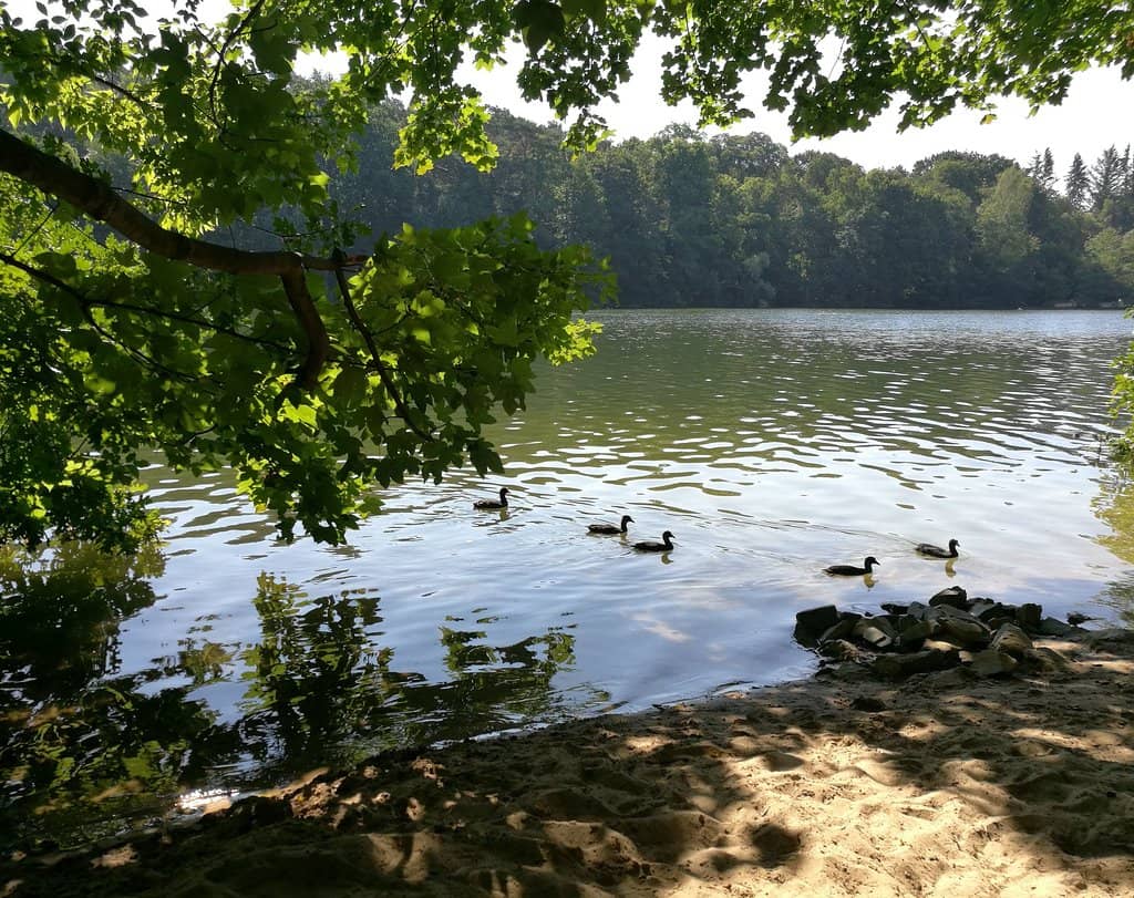 Lakeside Jogging Path