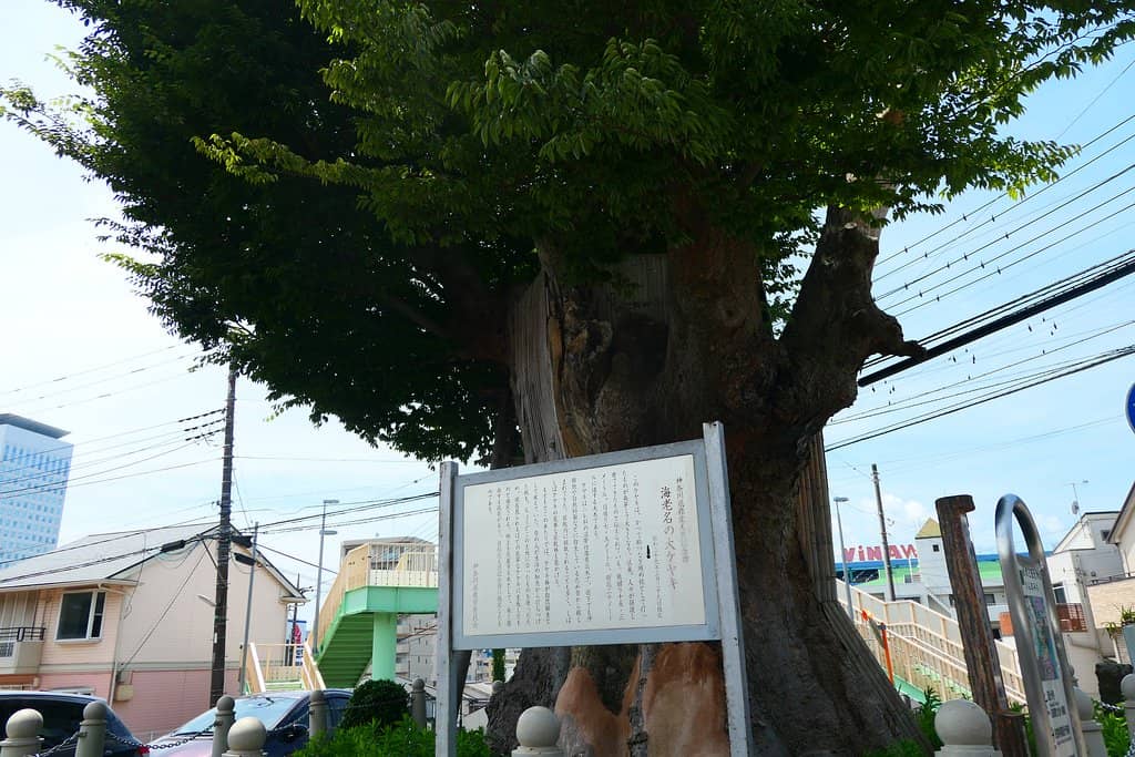 Cornerstones of the Inner Gate