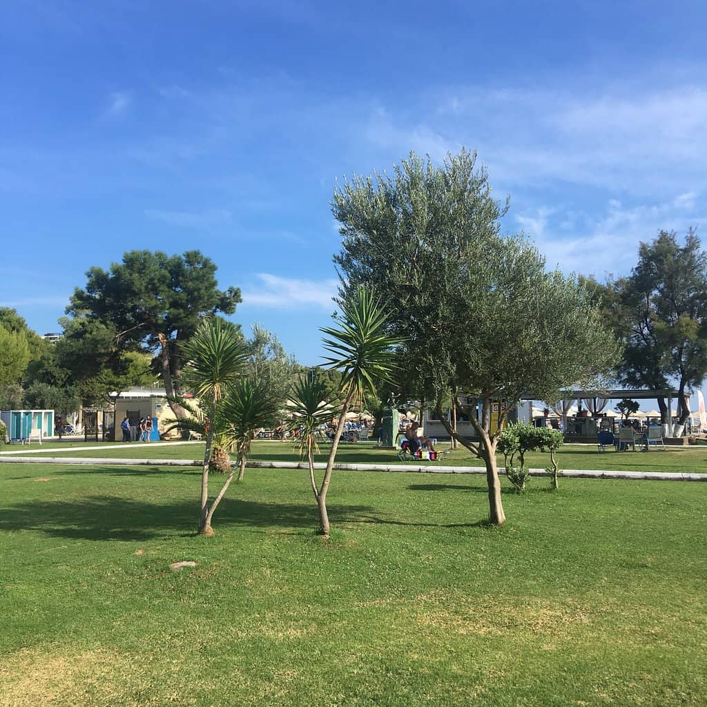 Athens Riviera Sunsets