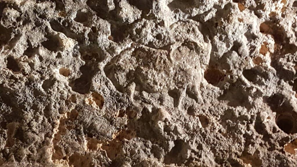 15 Layers of Prehistory