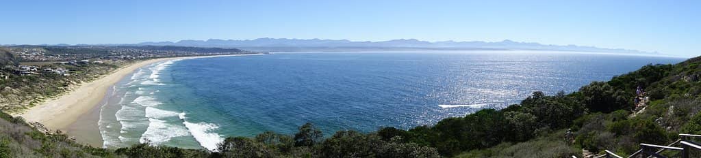 Seal Colony