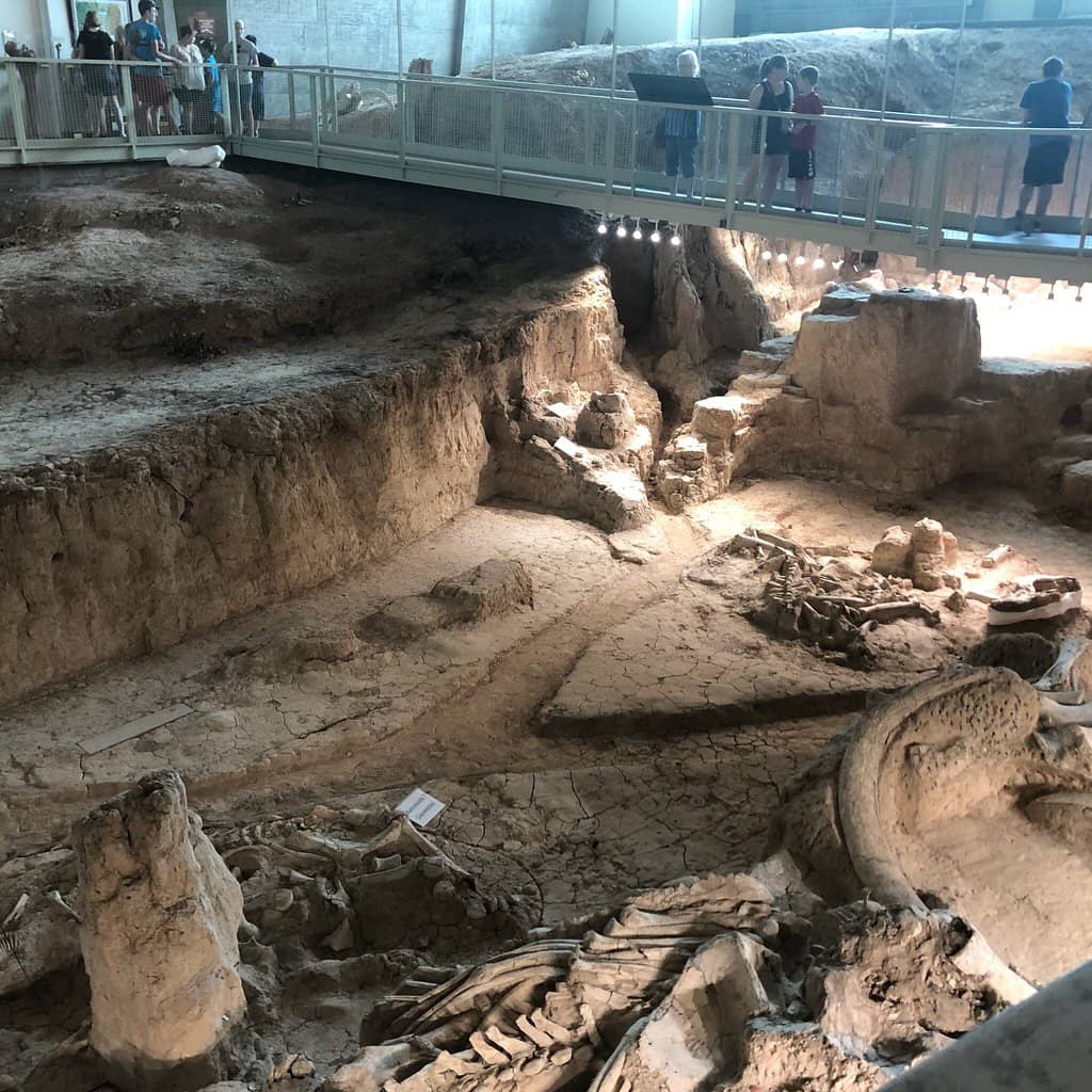 Nursery Herd Discovery