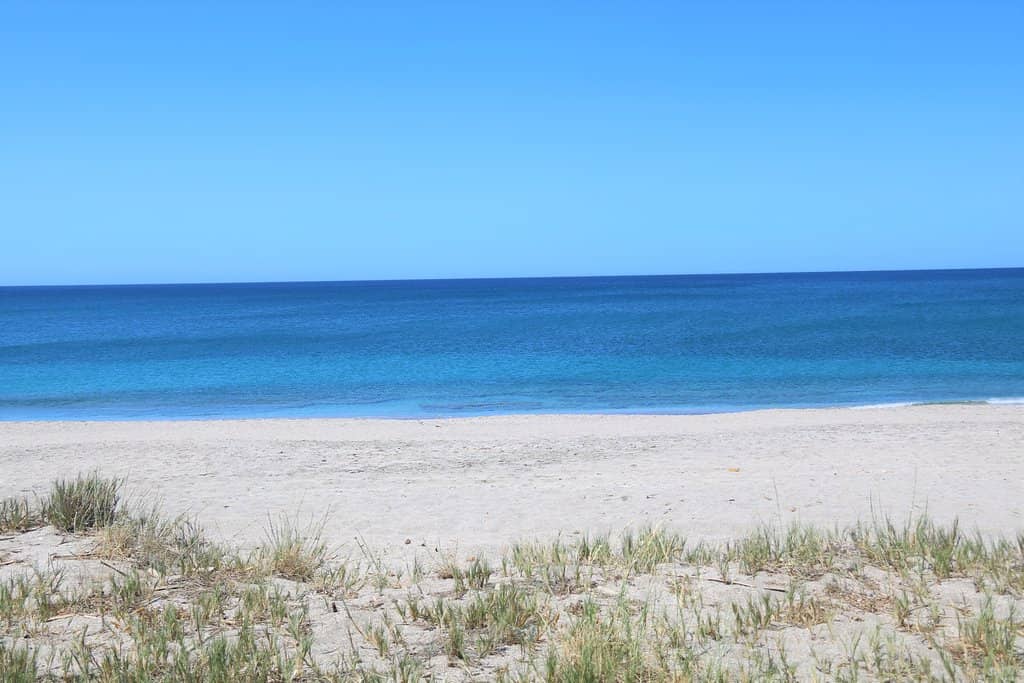 Pristine Sandy Shores