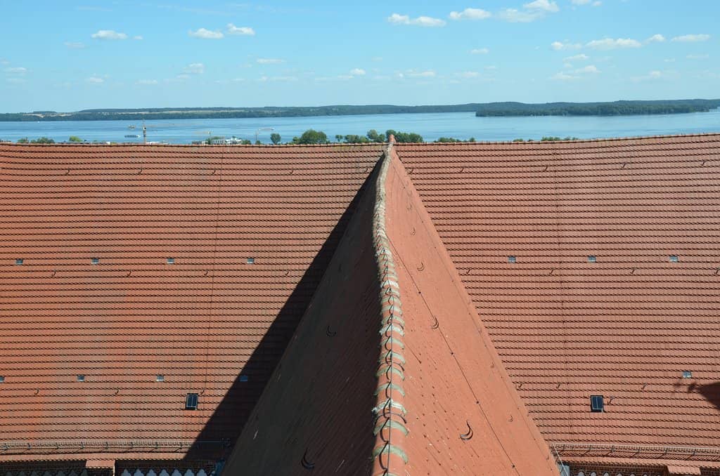 Bell Tower View