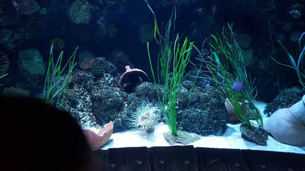 Interactive Exhibits