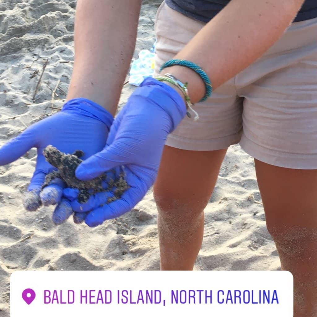 Maritime Forest & Salt Marsh Tours