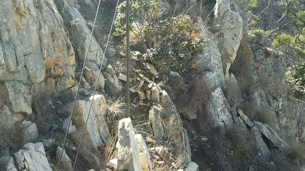 Vertical photo