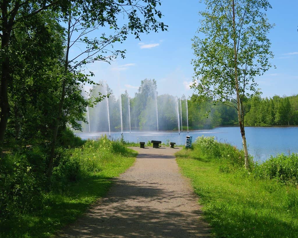 Idyllic Bridges and Streams