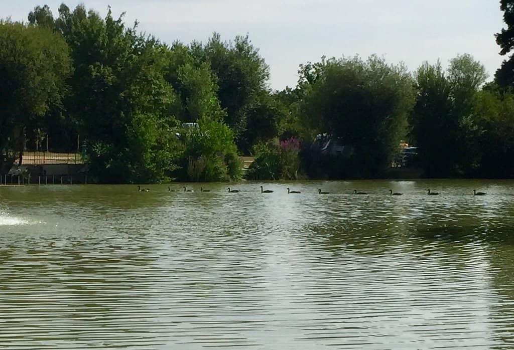 Fishing on Five Coarse Lakes