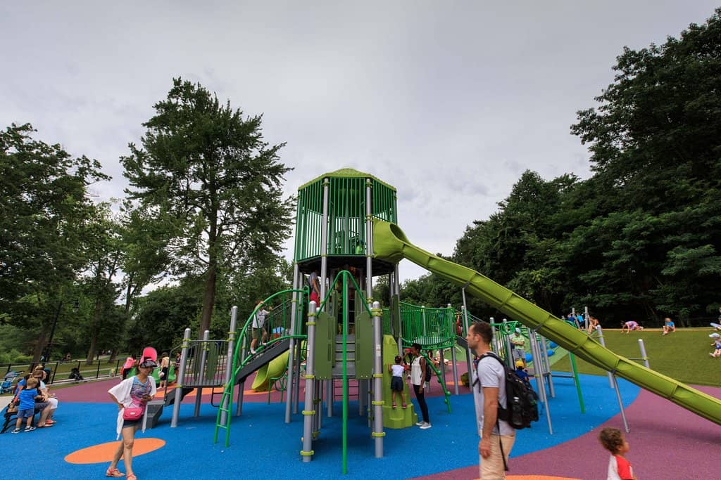 Serene Lake & Paddle Boats