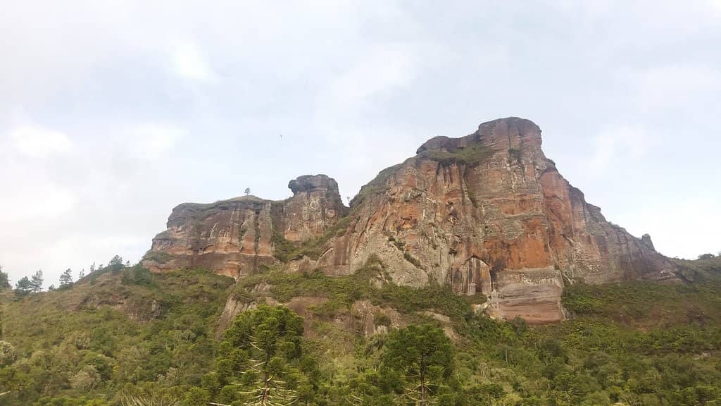 Panoramic Vista
