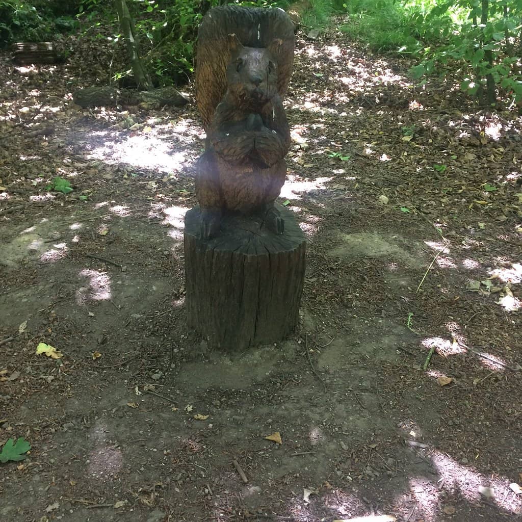 Worsley Woods Parkrun