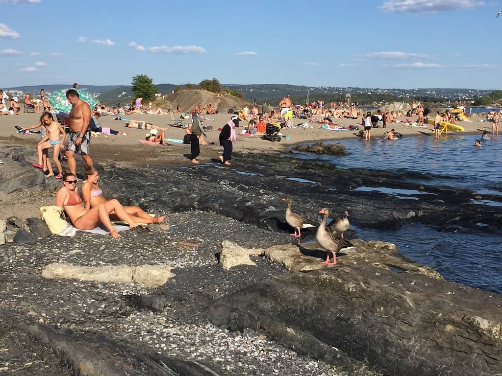 Tranquil Beachfront