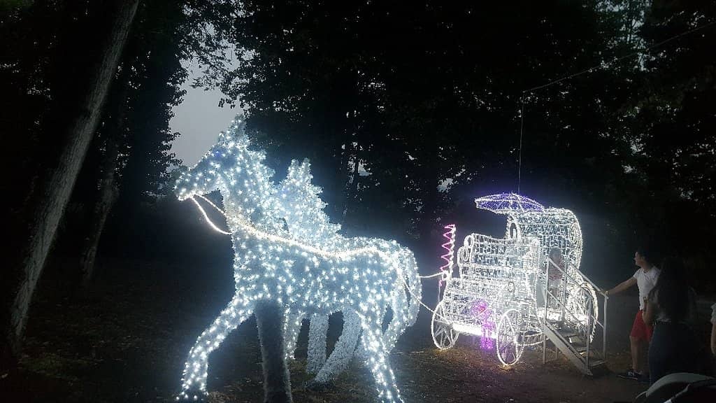 Fairytale Forest Event