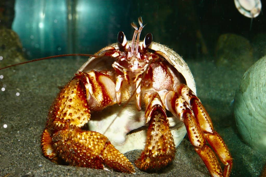 Interactive Touch Pool