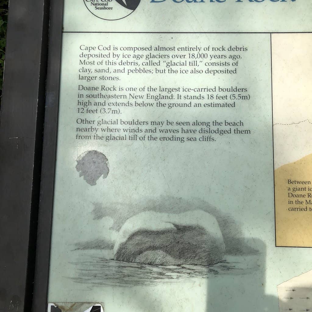 Picnic Area (with caution!)