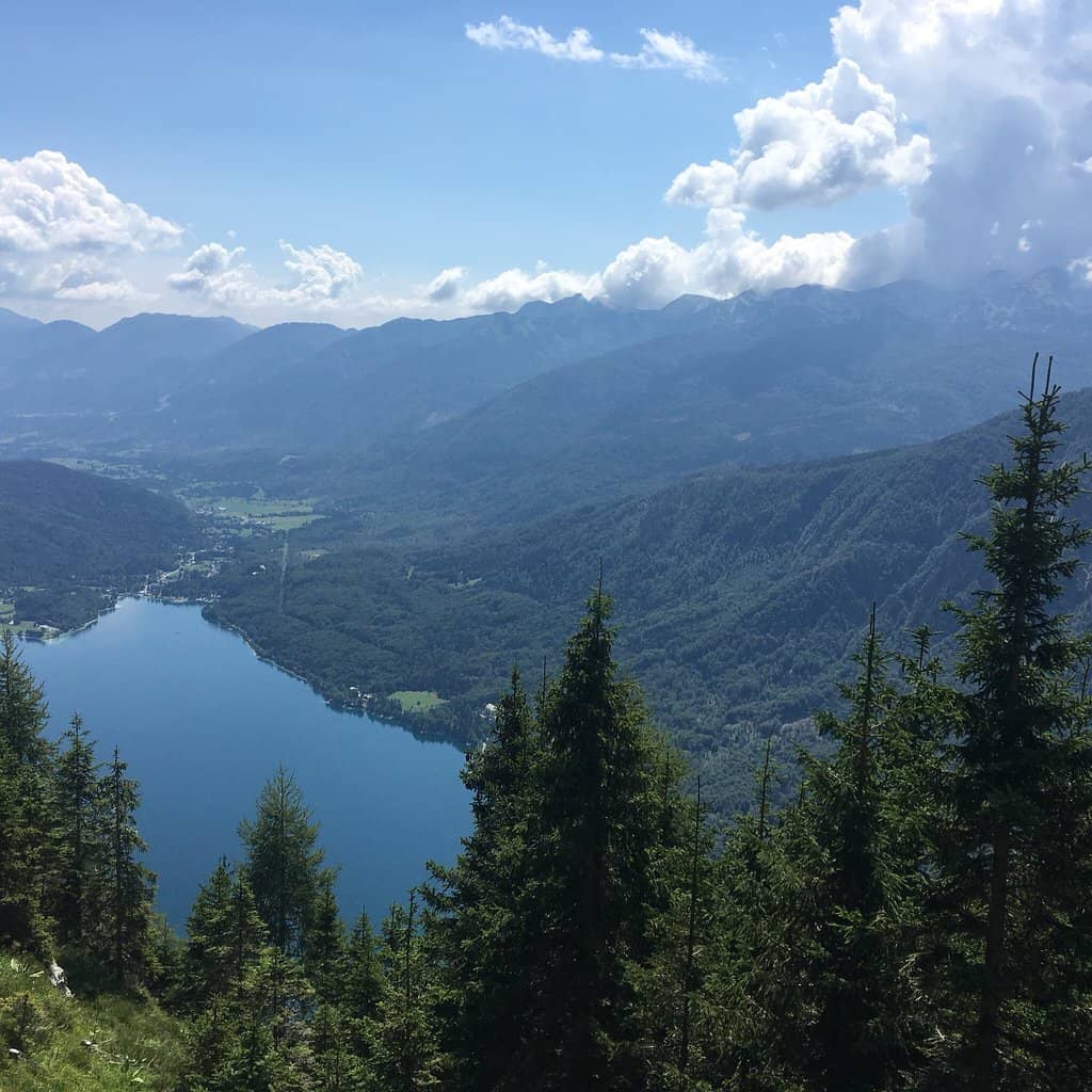 Alpine Meadow Scenery