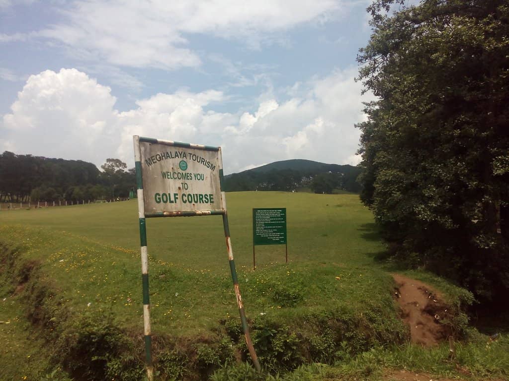 Lush Green Meadows