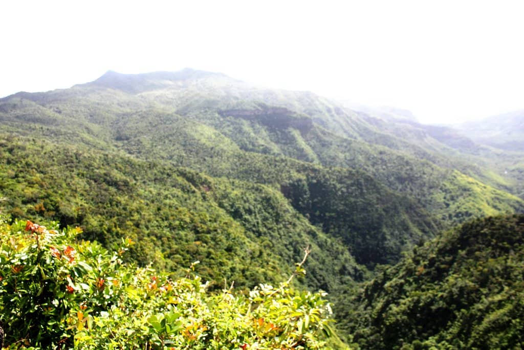 Adventurous Steep Trail Option