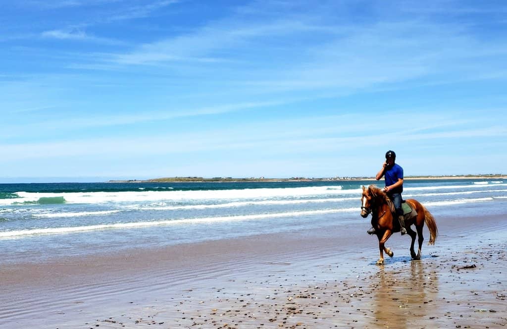 Mount Brandon Backdrop