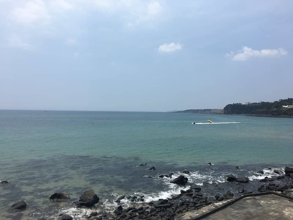 Surfing Paradise