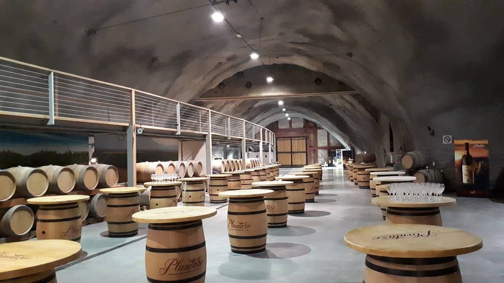 Expert-Led Wine Tasting