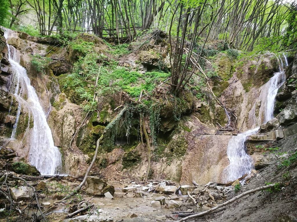Nature Trails