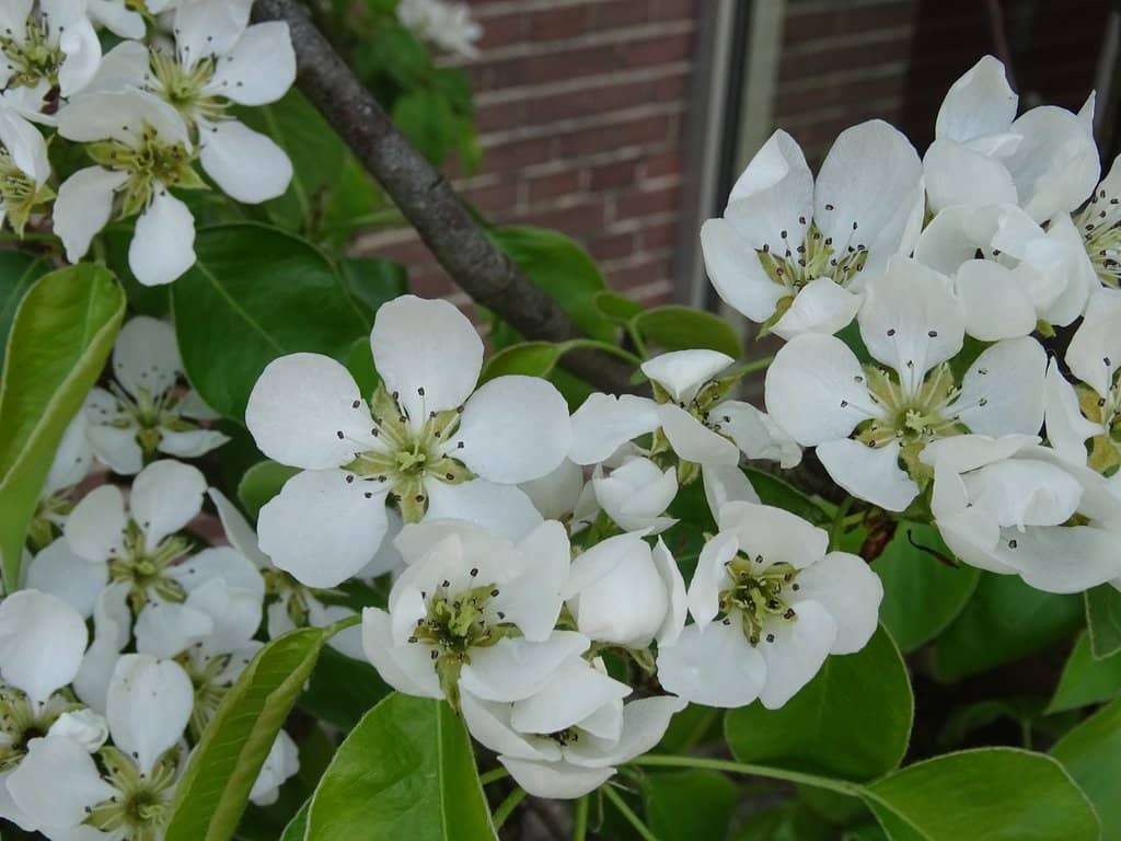 Extended Summer Hours