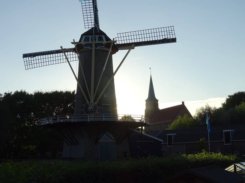 Vertical photo