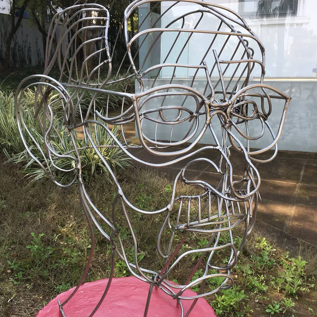 Taxidermy Animal Collection