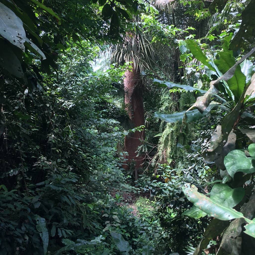Wildlife Encounters