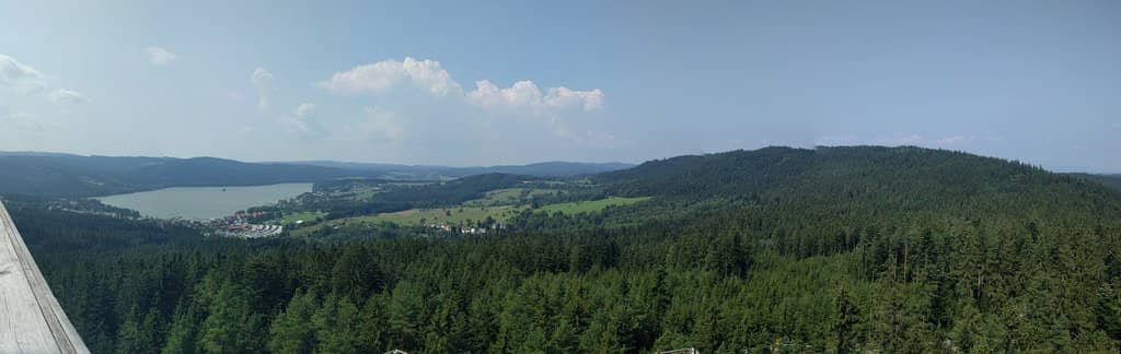 Treetop Walkway