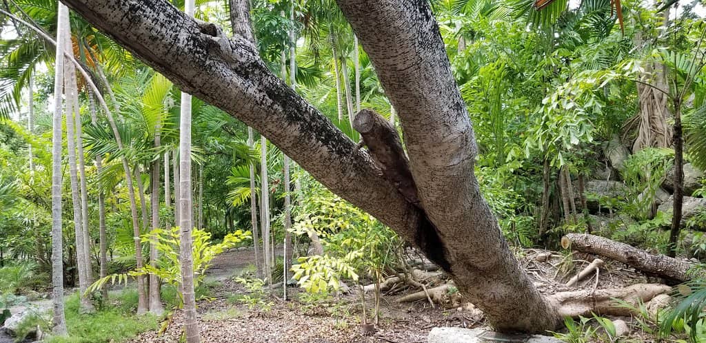 Wildlife Encounters