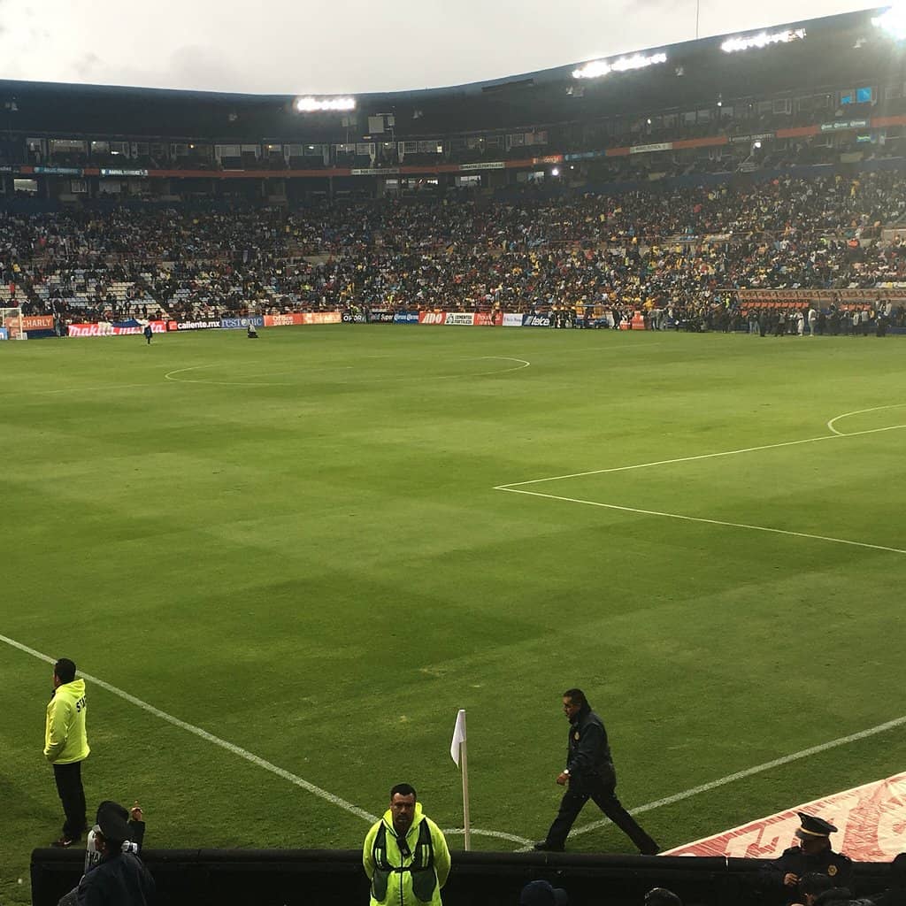 Stadium Dining Experience