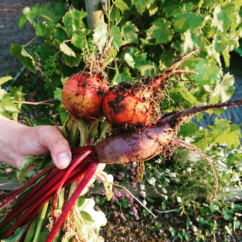 Community Green Space