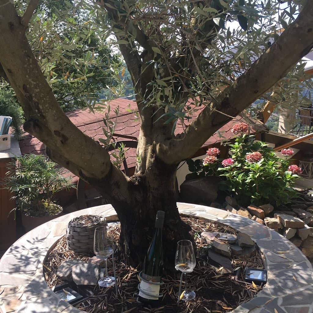 Toms Kaffee Rösterei