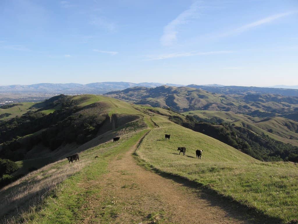 Challenging Trail Network