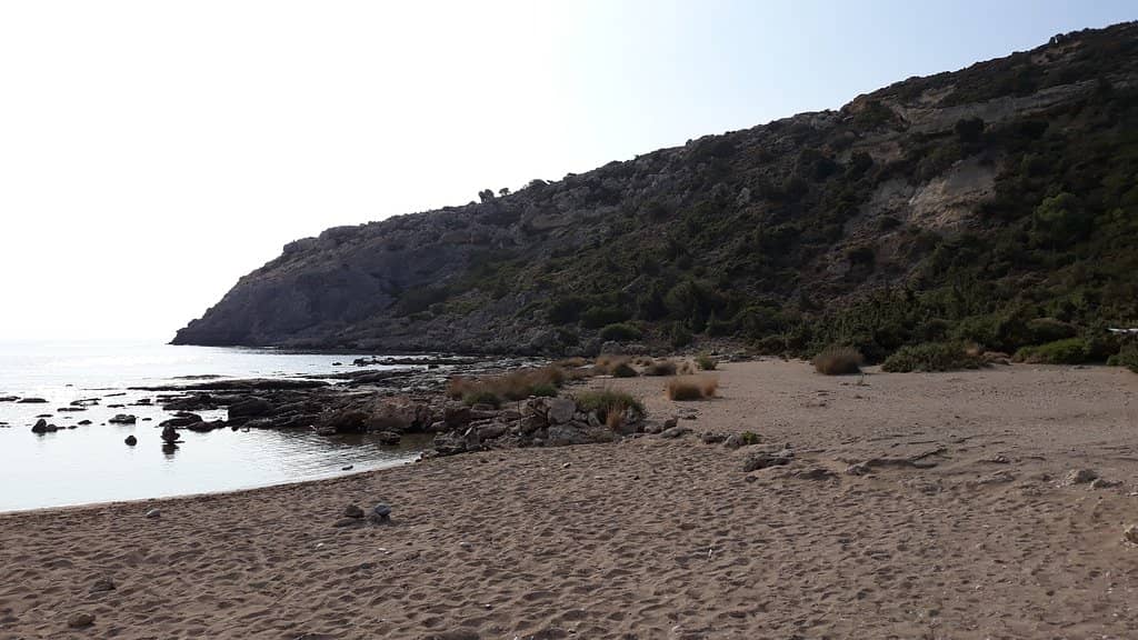 Snorkeling Opportunities