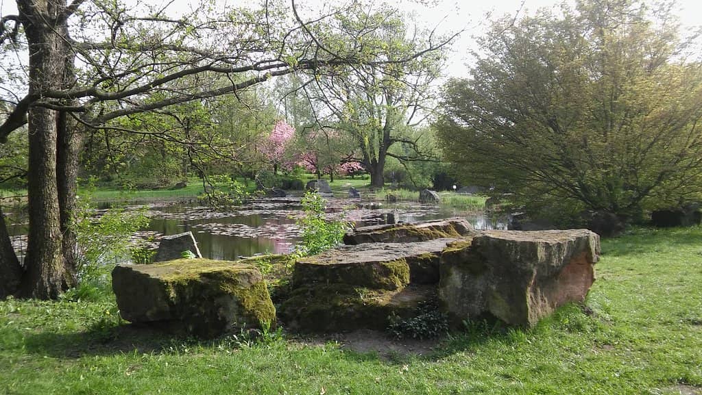 Alpine Garden