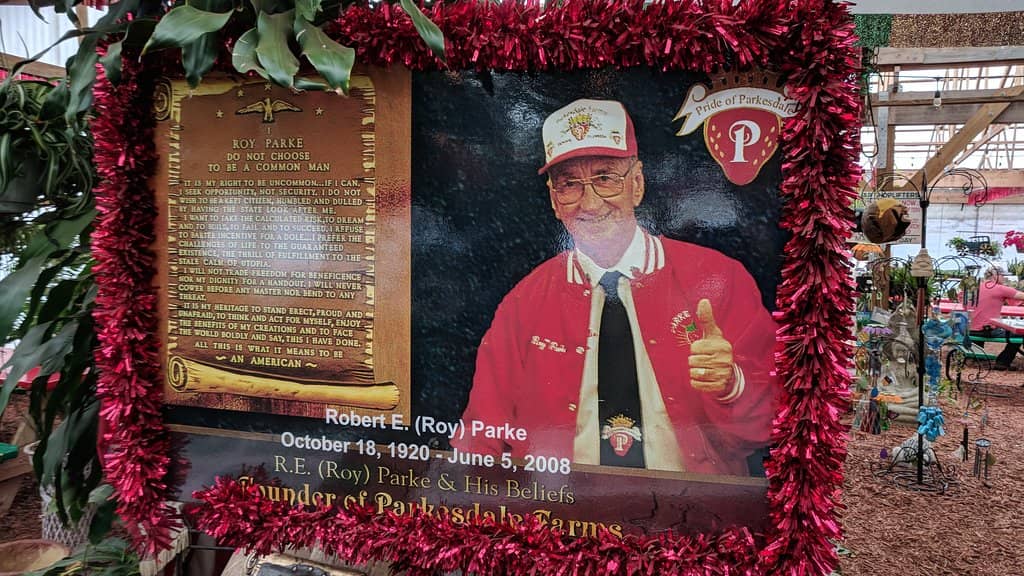 Refreshing Strawberry Milkshake