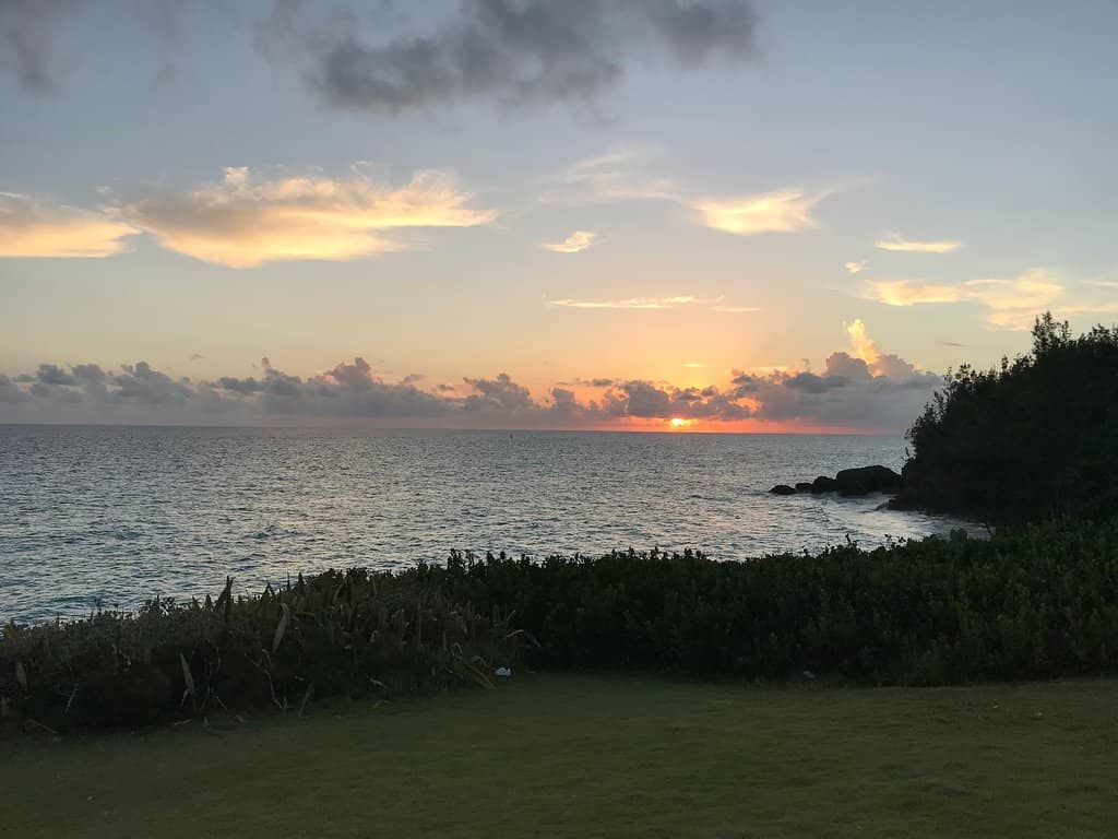 Picture-Perfect Views