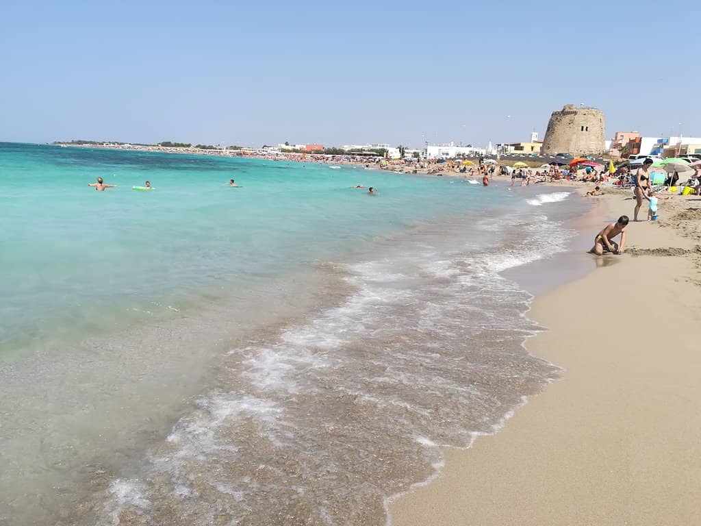 Panoramic Seaside Dining