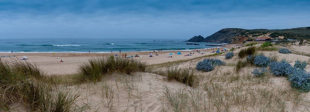 Surfer's Paradise