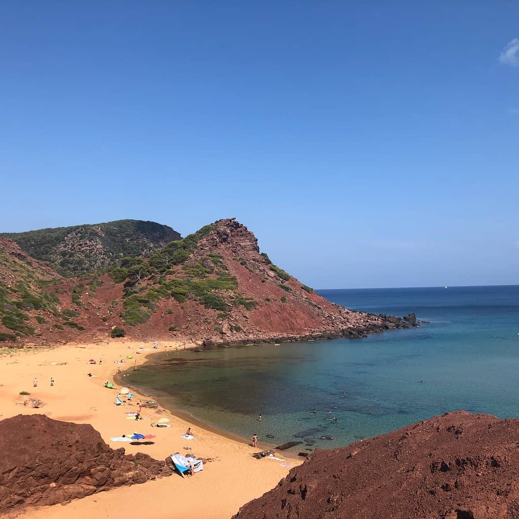 The Wildest Cove