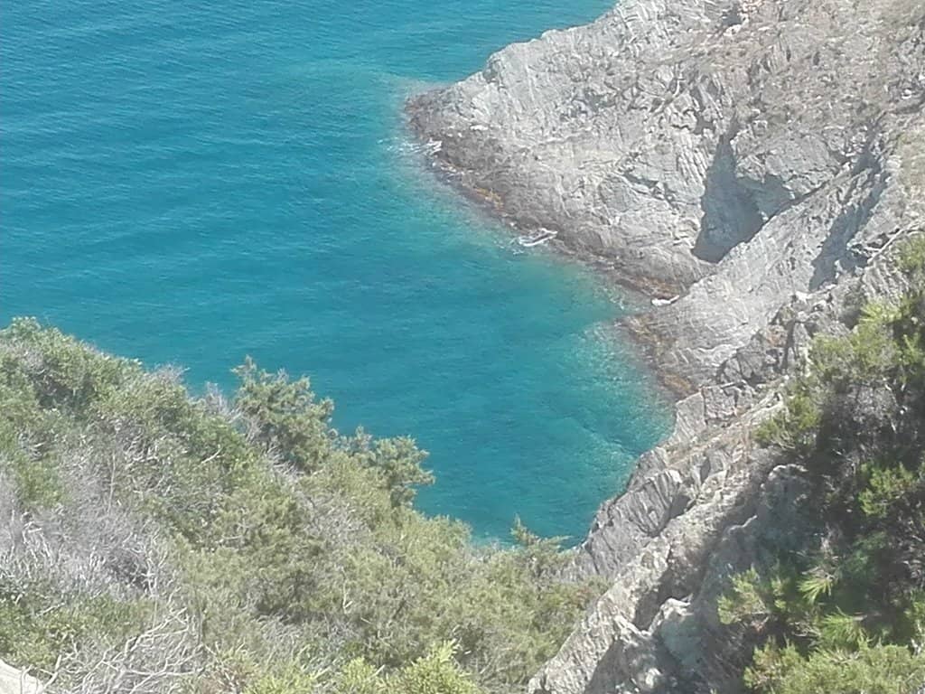 Vertical photo