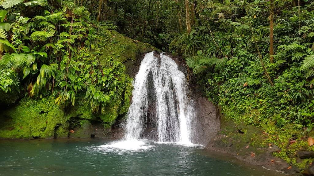 Downstream River Exploration