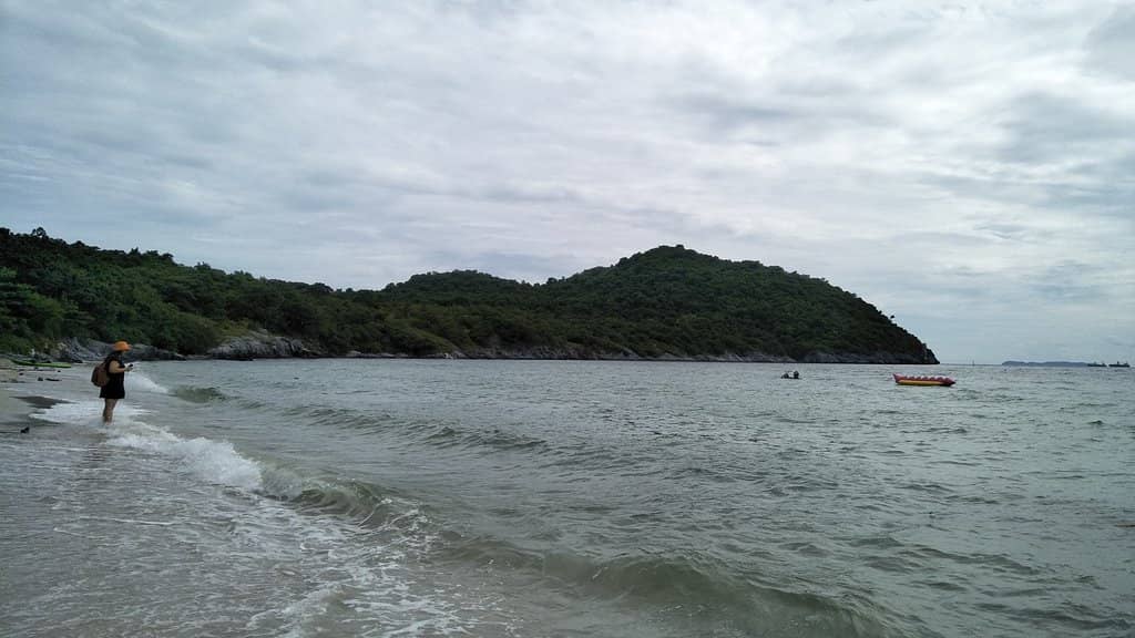 Vertical photo