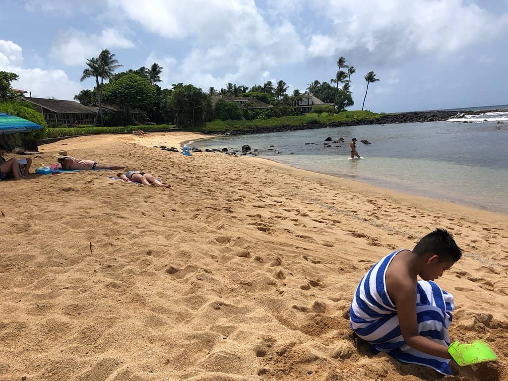 Snorkeling Hotspot
