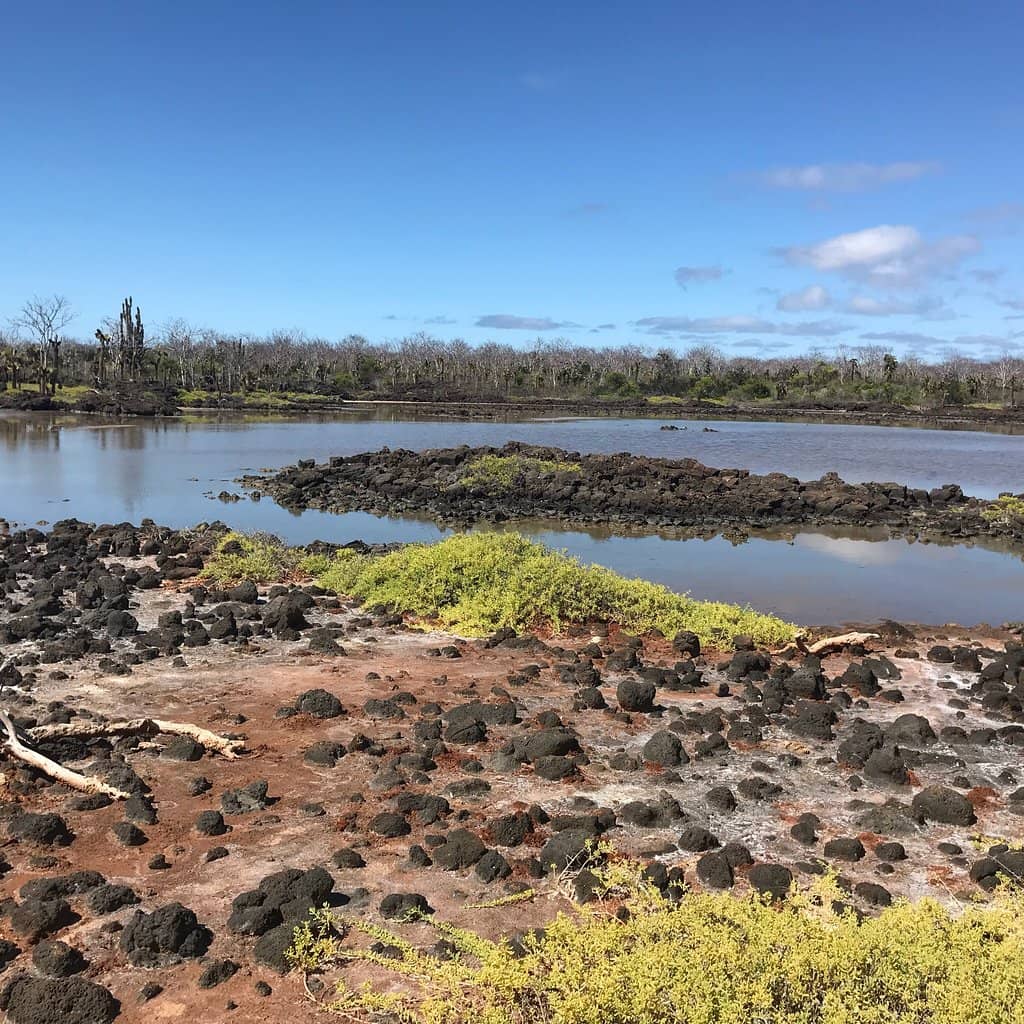 Scenic Desert Landscape